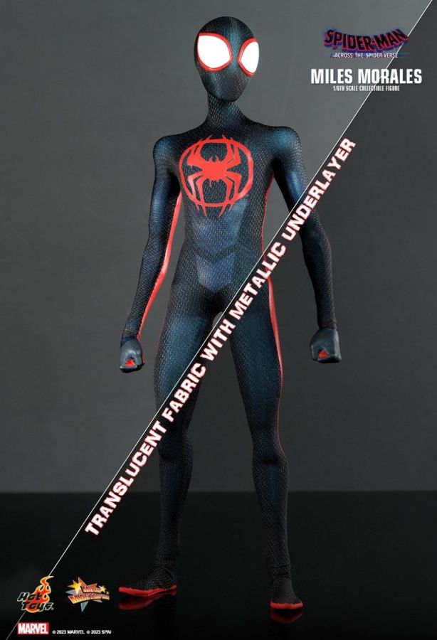 Spider-Man: Across the Spider-Verse - Miles Morales 1:6 Scale Collectable Action Figure PREORDER