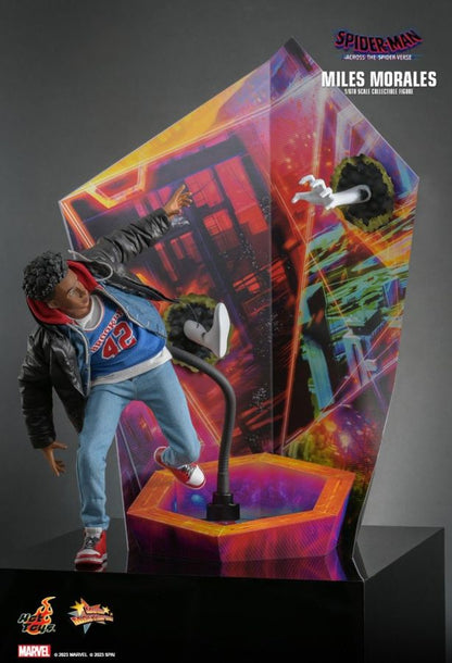 Spider-Man: Across the Spider-Verse - Miles Morales 1:6 Scale Collectable Action Figure PREORDER