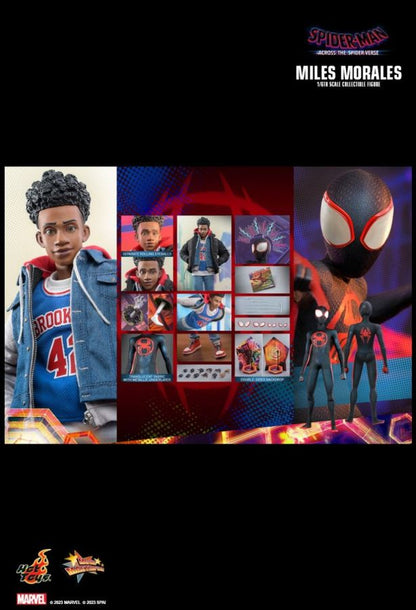 Spider-Man: Across the Spider-Verse - Miles Morales 1:6 Scale Collectable Action Figure PREORDER