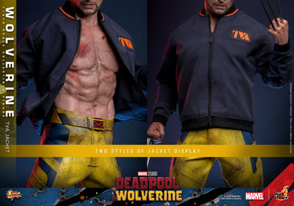 Deadpool & Wolverine - Wolverine (TVA Jacket) 1:6 Scale Collectable Action Figure