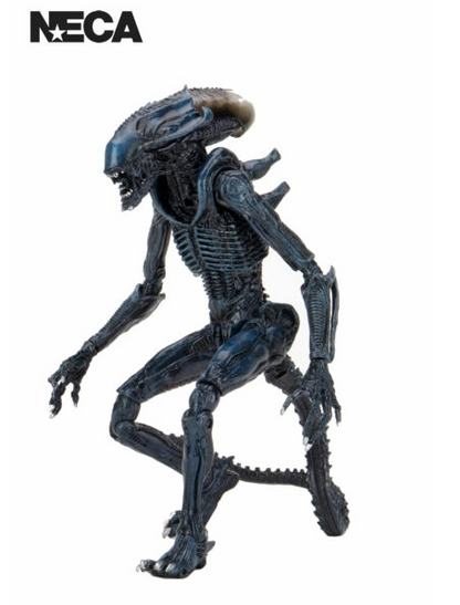 ALIENS ARACHNOID ALIEN VS PREDATOR 7″ ACTION FIGURE