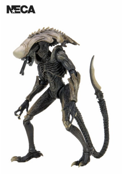 ALIEN VS PREDATOR – CHRYSALIS ALIEN 7″ ACTION FIGURE