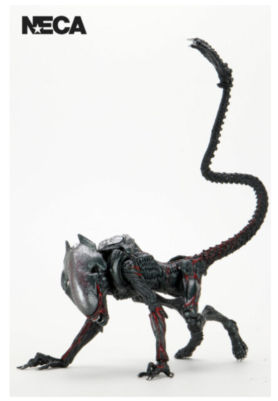 ALIENS NIGHT COUGAR KENNER TRIBUTE 7″ SCALE ACTION FIGURE