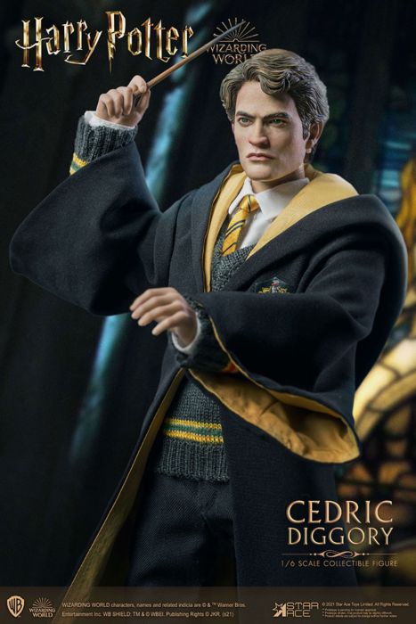 Harry Potter - Cedric Diggory Deluxe 1:6 Scale 12" Action Figure