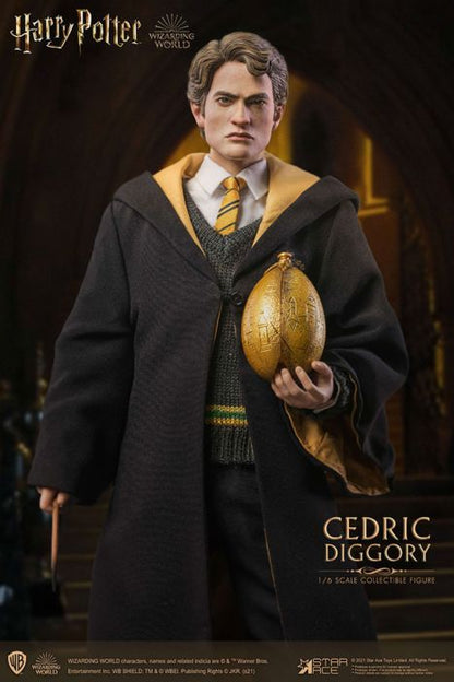 Harry Potter - Cedric Diggory Deluxe 1:6 Scale 12" Action Figure