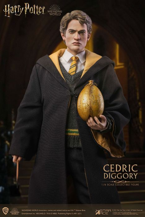 Harry Potter - Cedric Diggory Deluxe 1:6 Scale 12" Action Figure