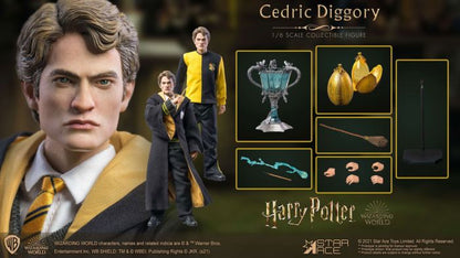 Harry Potter - Cedric Diggory Deluxe 1:6 Scale 12" Action Figure